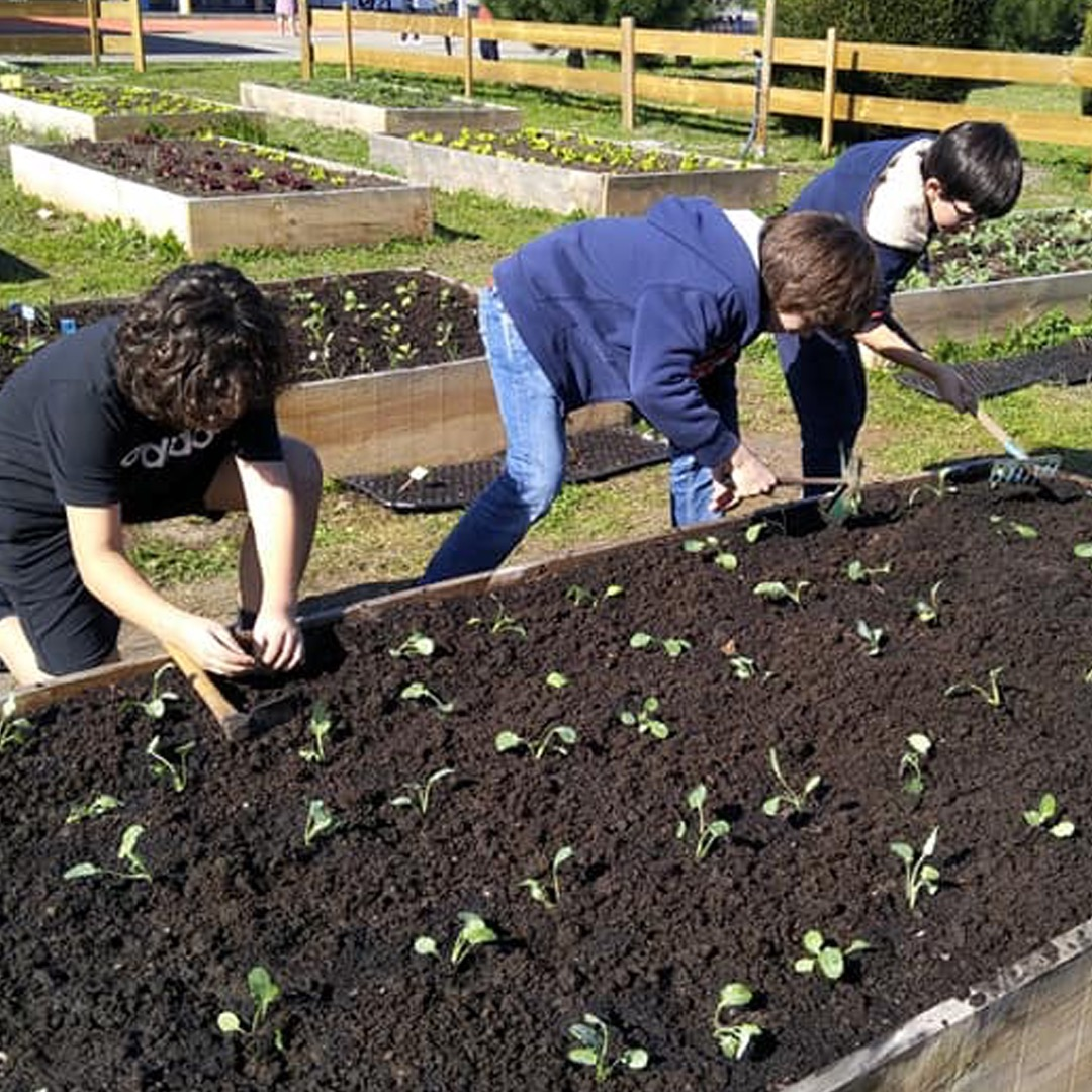 The CRDL's Organic Garden (HORTA BIO) has received an honorable mention from the Eco-Schools of the European Blue Flag Association.